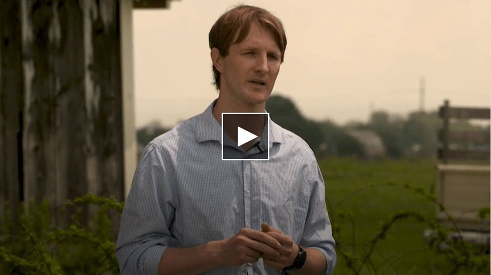 Channel 12 interview about berry juice and lung cancer.