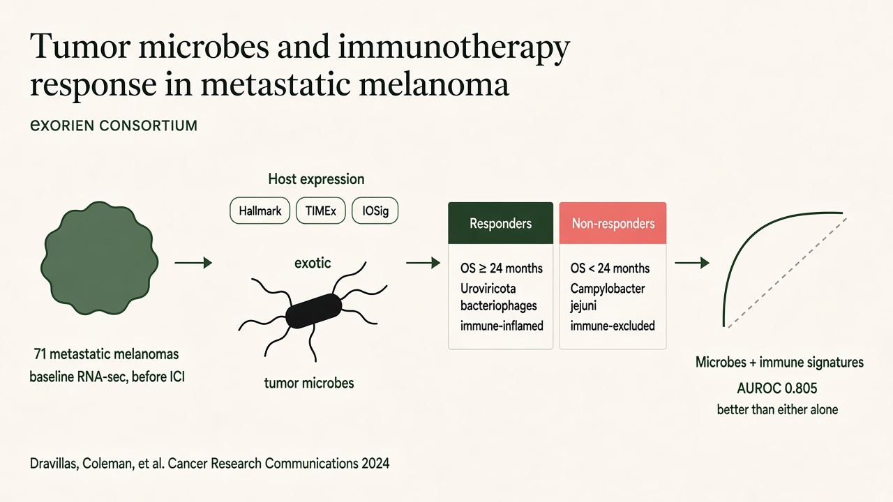 Baseline RNA sequencing of 71 metastatic melanomas combines exotic tumor microbial profiles with host immune signatures to predict outcomes after immune checkpoint inhibition; the combined model has an AUROC of 0.805.
