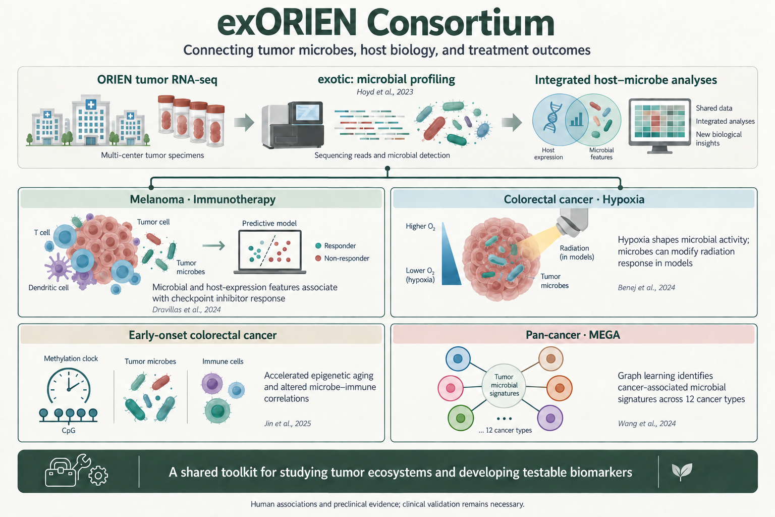 Consortium overview: ORIEN tumor RNA sequencing and exotic microbial profiling connect four studies of melanoma immunotherapy, colorectal hypoxia and radiation, early-onset colorectal epigenetics and immunity, and MEGA pan-cancer signatures. Together they provide methods and testable biomarkers, supported by human associations and preclinical experiments.