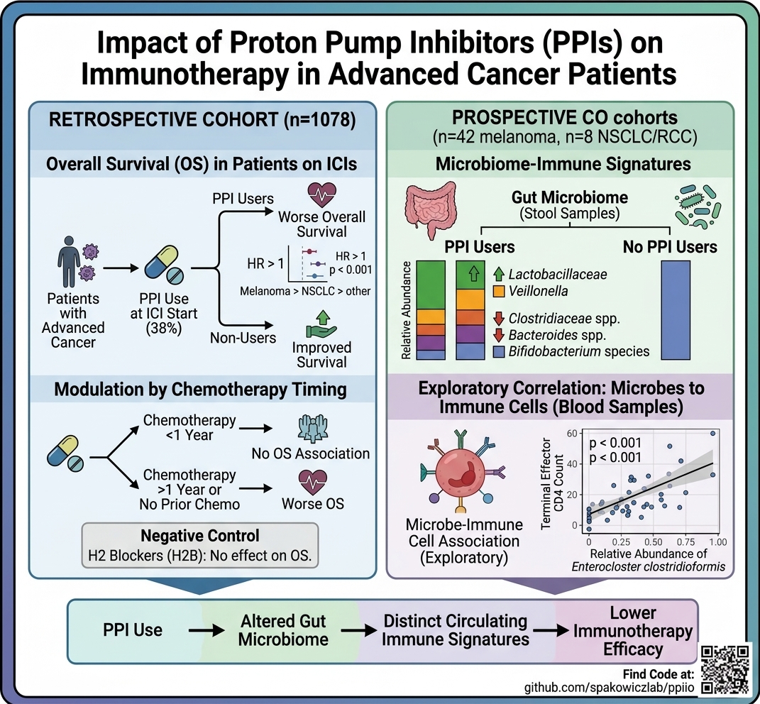 Proton pump inhibitor use, prior chemotherapy, gut microbiome, and circulating immune-cell signatures are examined in relation to immunotherapy outcomes.