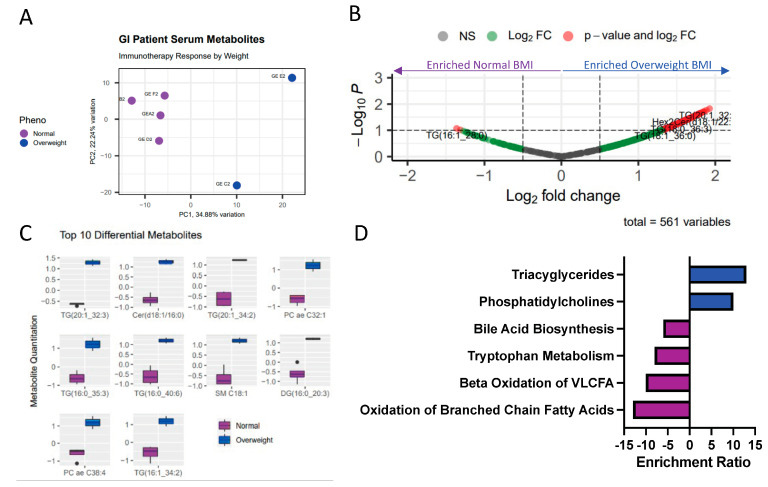 Figure 2. Metabolic Dysregulation Explains the Diverse Impacts of Obesity in Males and Females with Gastrointestinal Cancers