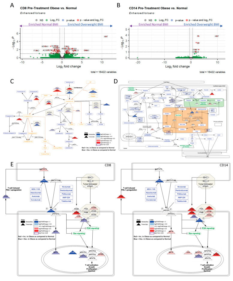 Figure 3. Metabolic Dysregulation Explains the Diverse Impacts of Obesity in Males and Females with Gastrointestinal Cancers