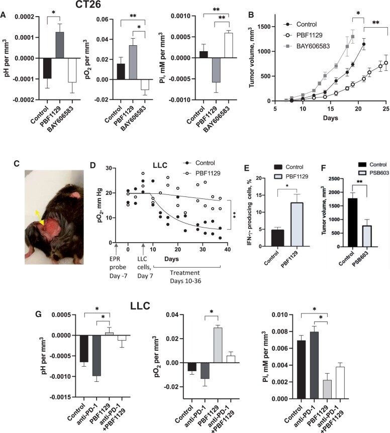 Figure 4. Improving combination therapies: targeting A2B-adenosine receptor to modulate metabolic tumor microenvironment and immunosuppression