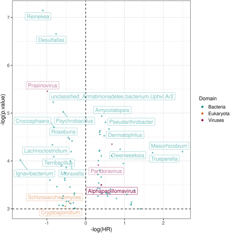 Figure 2. Comparative analysis of the tumor microbiome, molecular profiles, and immune cell abundances by HPV status in mucosal head and neck cancers and their impact on survival