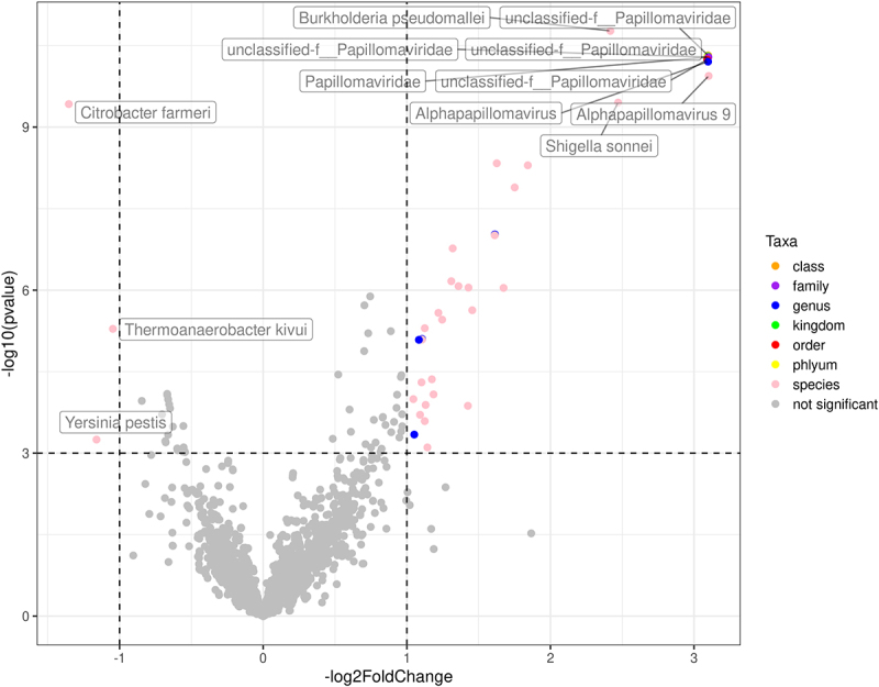 Figure 4. Comparative analysis of the tumor microbiome, molecular profiles, and immune cell abundances by HPV status in mucosal head and neck cancers and their impact on survival