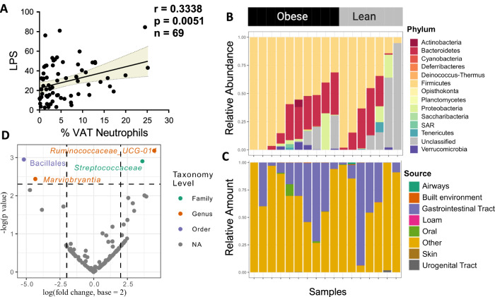 Figure 2. Obesity-associated microbiomes instigate visceral adipose tissue inflammation by recruitment of distinct neutrophils