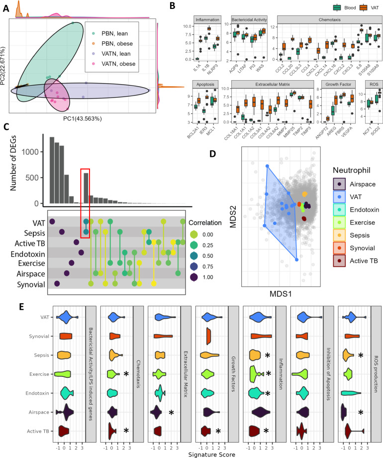 Figure 5. Obesity-associated microbiomes instigate visceral adipose tissue inflammation by recruitment of distinct neutrophils