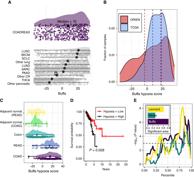 Figure 1. The Tumor Microbiome Reacts to Hypoxia and Can Influence Response to Radiation Treatment in Colorectal Cancer