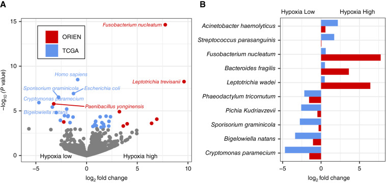 Figure 2. The Tumor Microbiome Reacts to Hypoxia and Can Influence Response to Radiation Treatment in Colorectal Cancer