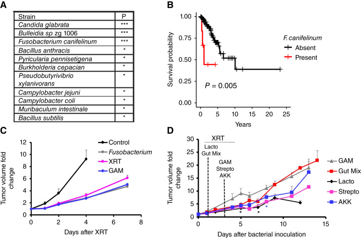 Figure 3. The Tumor Microbiome Reacts to Hypoxia and Can Influence Response to Radiation Treatment in Colorectal Cancer