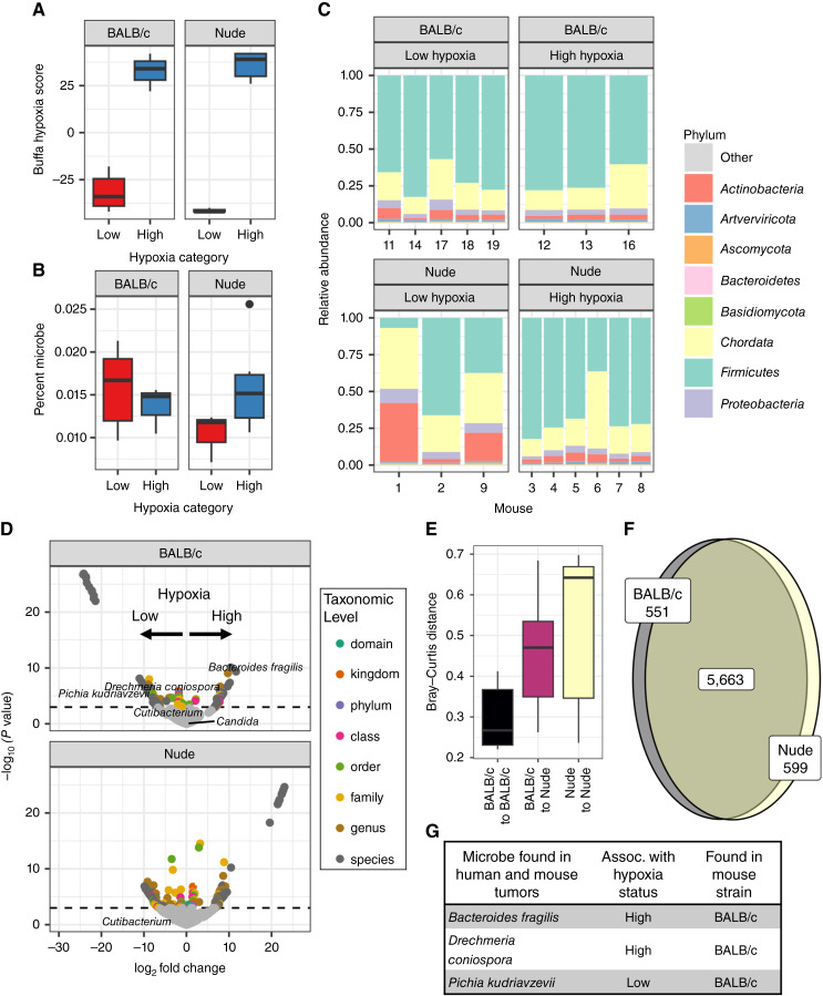 Figure 4. The Tumor Microbiome Reacts to Hypoxia and Can Influence Response to Radiation Treatment in Colorectal Cancer