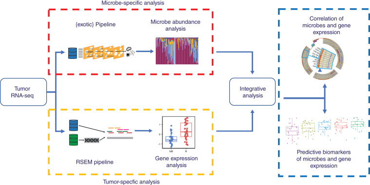 Figure 1. The Tumor Microbiome as a Predictor of Outcomes in Patients with Metastatic Melanoma Treated with Immune Checkpoint Inhibitors