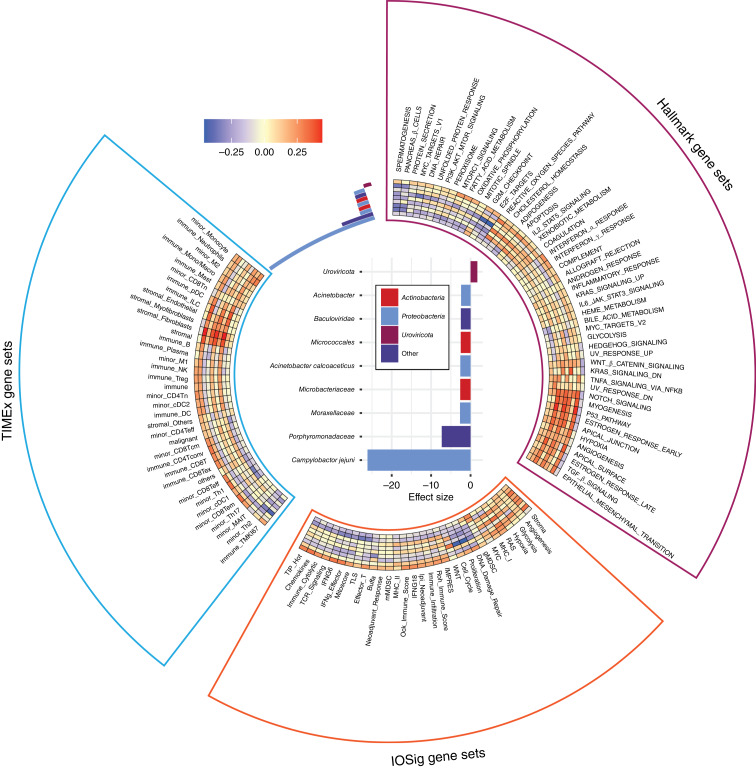 Figure 4. The Tumor Microbiome as a Predictor of Outcomes in Patients with Metastatic Melanoma Treated with Immune Checkpoint Inhibitors
