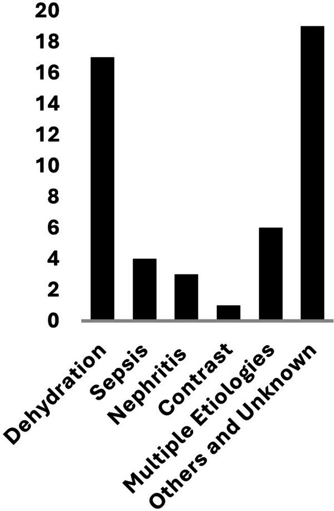 Figure 2. Early Acute Kidney Injury and Its Association With Survival in Patients With Metastatic Non-Small-Cell Lung Cancer Treated With Front-Line Immunotherapy-Based Therapies