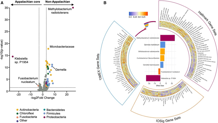 Figure 5. Colon cancer in Appalachian Kentucky: Unique genetic, microbiome and obesity findings in a cohort comparison