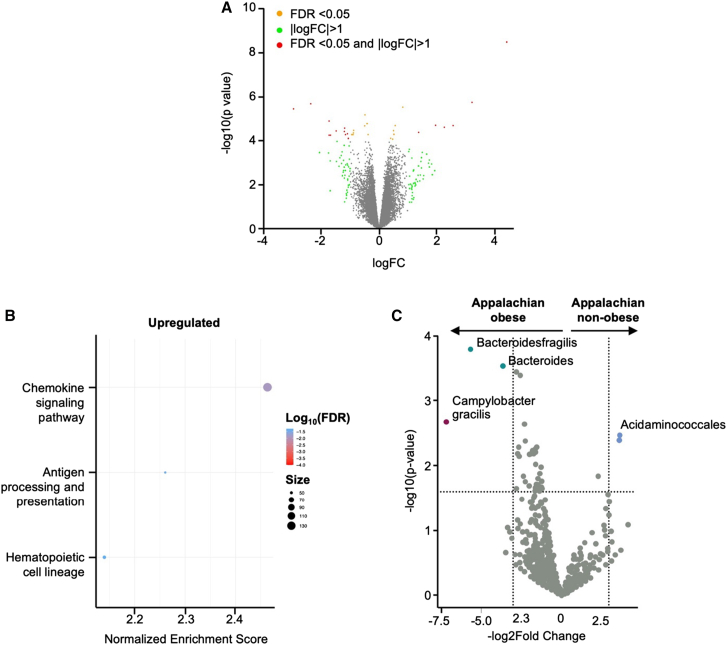 Figure 6. Colon cancer in Appalachian Kentucky: Unique genetic, microbiome and obesity findings in a cohort comparison