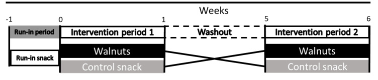 Figure 1. Effects of Walnuts on Postprandial Cognitive Function in Adults With Subjective Cognitive Impairment: Protocol for a Randomized Crossover Trial