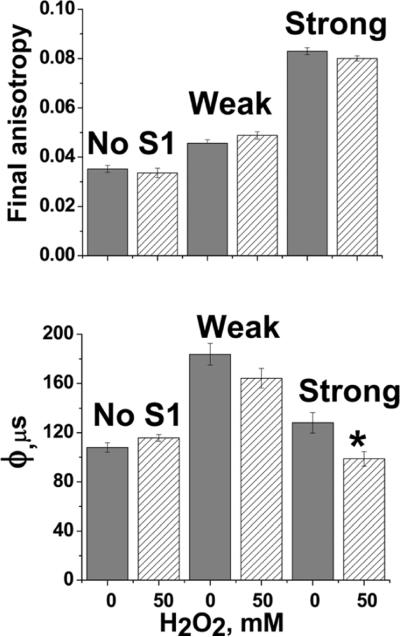 Figure 6. Changes in Actin Structural Transitions Associated with Oxidative Inhibition of Muscle Contraction†