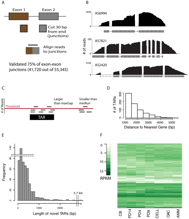 Figure 1. Genomic Analysis of the Hydrocarbon-Producing, Cellulolytic, Endophytic Fungus Ascocoryne sarcoides