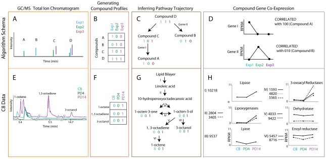 Figure 3. Genomic Analysis of the Hydrocarbon-Producing, Cellulolytic, Endophytic Fungus Ascocoryne sarcoides