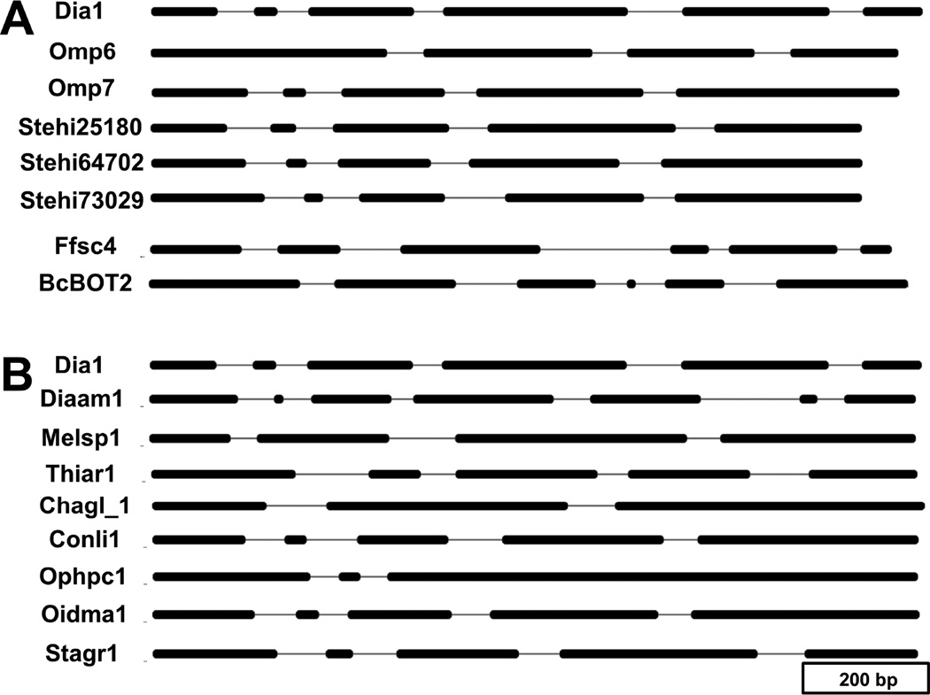 Figure 5. Genome of Diaporthe sp. provides insights into the potential inter-phylum transfer of a fungal sesquiterpenoid biosynthetic pathway