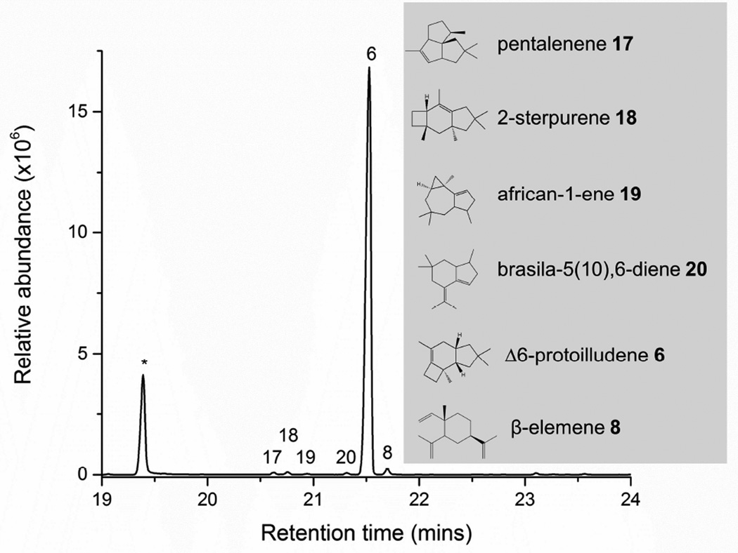 Figure 6. Genome of Diaporthe sp. provides insights into the potential inter-phylum transfer of a fungal sesquiterpenoid biosynthetic pathway