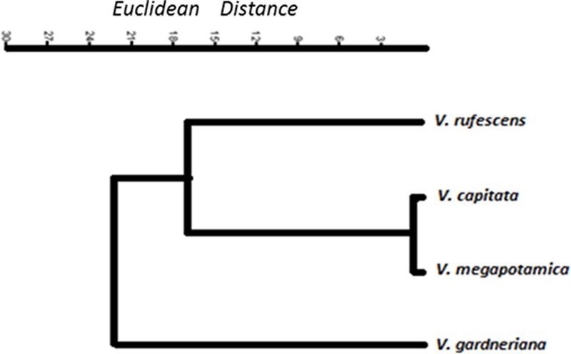 Figure 1. Volatile Metabolomic Composition of Vitex Species: Chemodiversity Insights and Acaricidal Activity