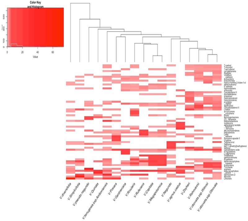 Figure 2. Volatile Metabolomic Composition of Vitex Species: Chemodiversity Insights and Acaricidal Activity