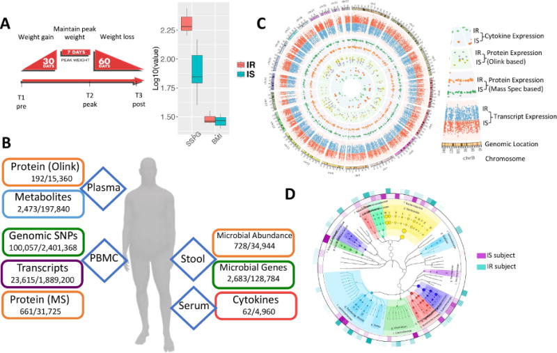Figure 1. Integrative Personal Omics Profiles During Periods of Weight Gain and Loss