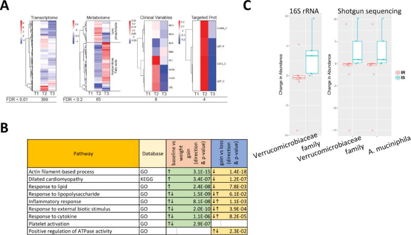 Figure 3. Integrative Personal Omics Profiles During Periods of Weight Gain and Loss