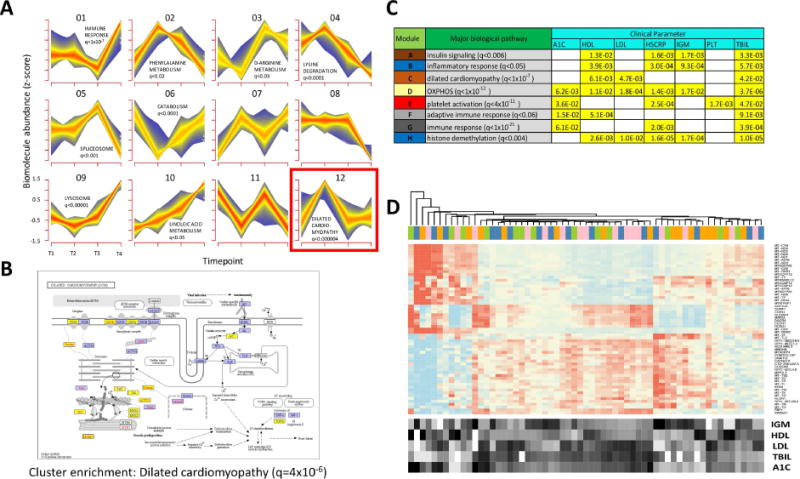 Figure 4. Integrative Personal Omics Profiles During Periods of Weight Gain and Loss