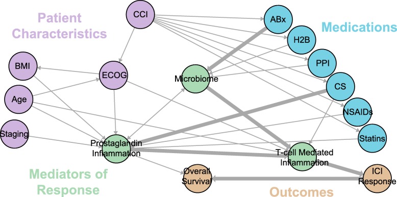 Figure 1. Inferring the role of the microbiome on survival in patients treated with immune checkpoint inhibitors: causal modeling, timing, and classes of concomitant medications