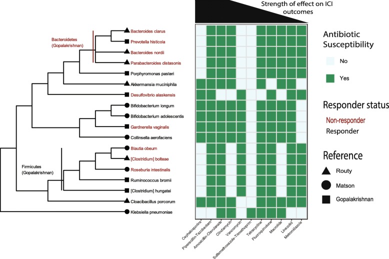 Figure 5. Inferring the role of the microbiome on survival in patients treated with immune checkpoint inhibitors: causal modeling, timing, and classes of concomitant medications