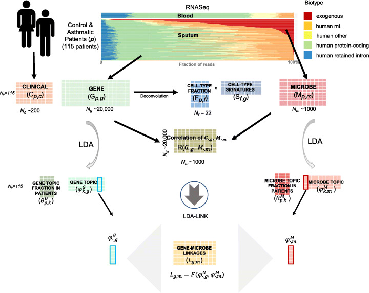 Figure 1. Approaches for integrating heterogeneous RNA-seq data reveal cross-talk between microbes and genes in asthmatic patients